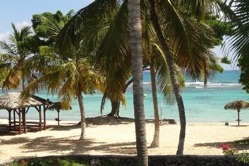 L'Oiseau Du Paradis Vue Mer Studio A Saint Francois A 100 M De La Plage 部屋 写真