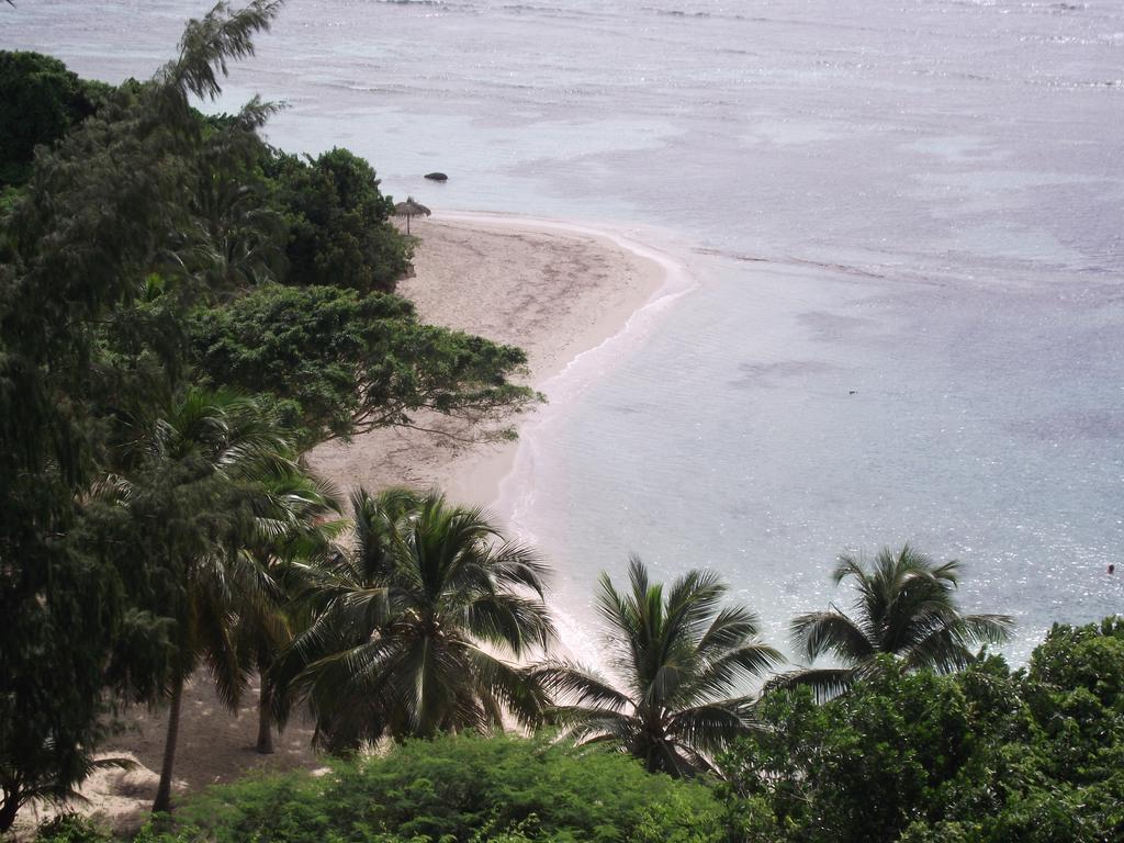 L'Oiseau Du Paradis Vue Mer Studio A Saint Francois A 100 M De La Plageアパートメント 部屋 写真