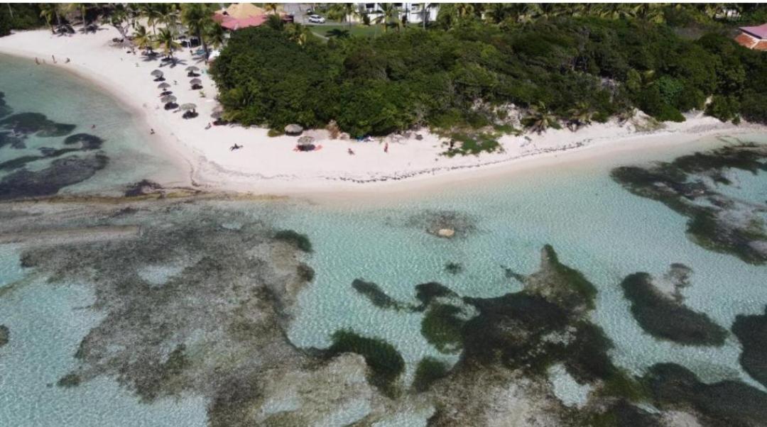 L'Oiseau Du Paradis Vue Mer Studio A Saint Francois A 100 M De La Plage エクステリア 写真