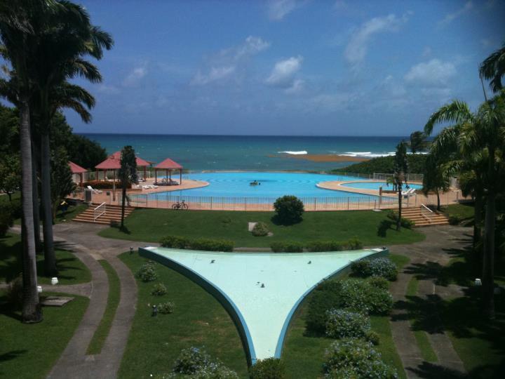 L'Oiseau Du Paradis Vue Mer Studio A Saint Francois A 100 M De La Plageアパートメント 部屋 写真