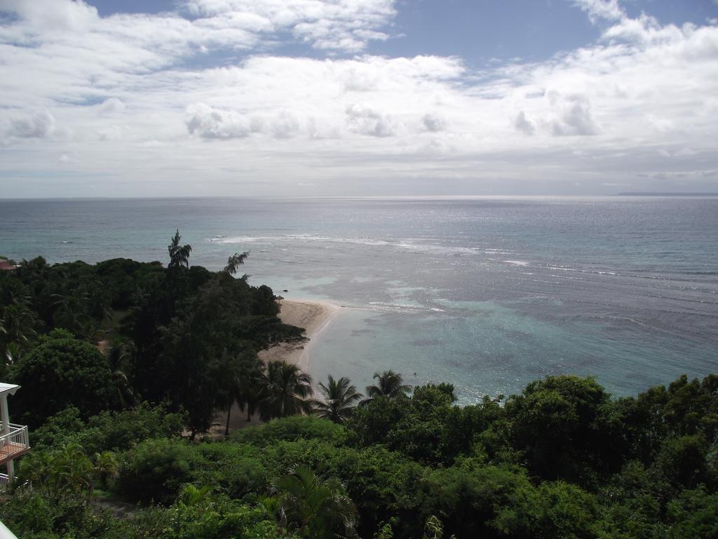 L'Oiseau Du Paradis Vue Mer Studio A Saint Francois A 100 M De La Plageアパートメント エクステリア 写真