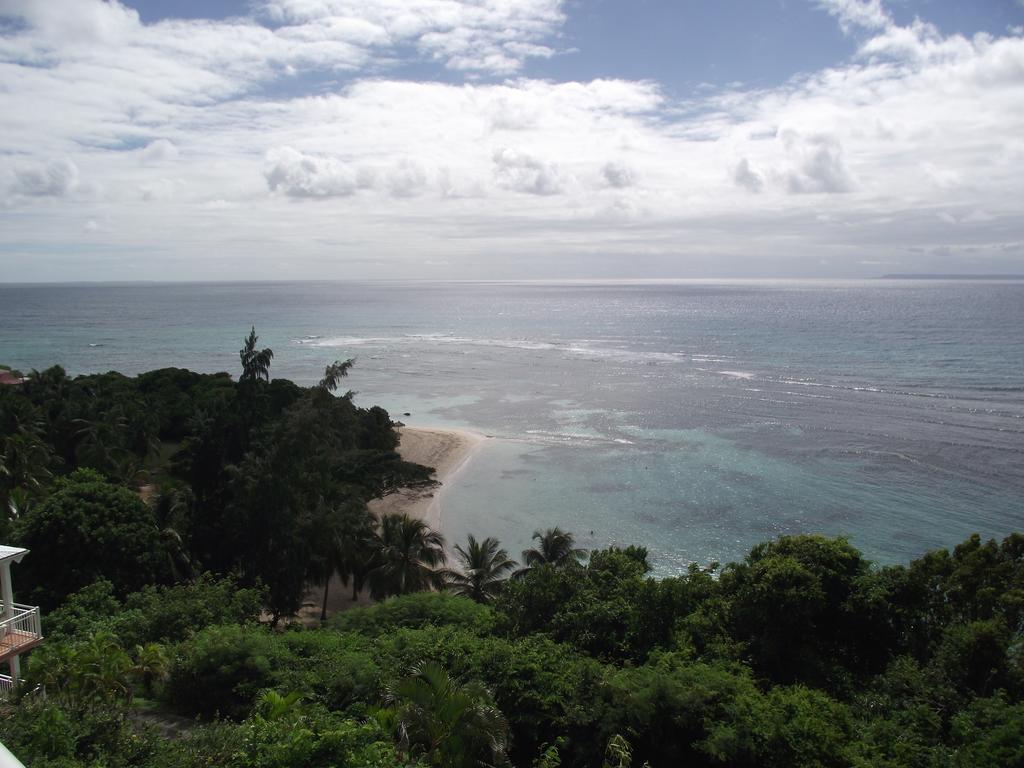 L'Oiseau Du Paradis Vue Mer Studio A Saint Francois A 100 M De La Plage エクステリア 写真