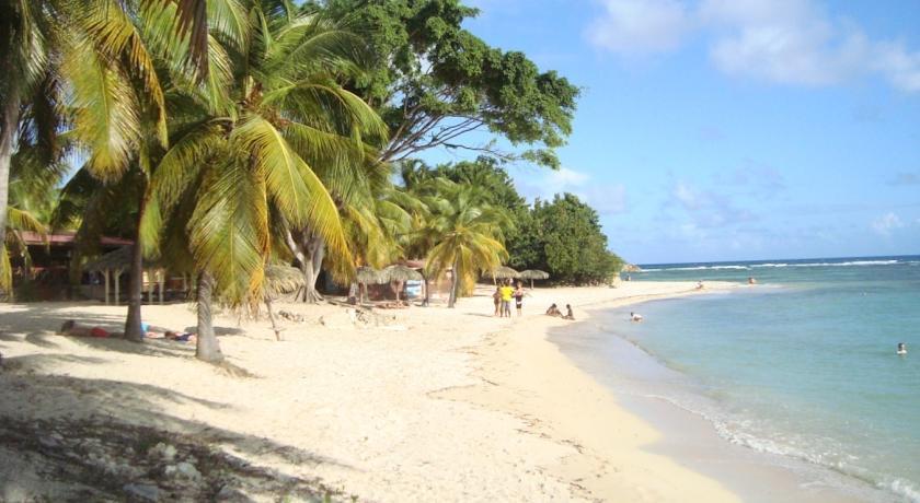 L'Oiseau Du Paradis Vue Mer Studio A Saint Francois A 100 M De La Plageアパートメント 部屋 写真