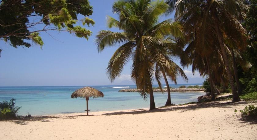 L'Oiseau Du Paradis Vue Mer Studio A Saint Francois A 100 M De La Plageアパートメント エクステリア 写真